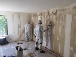 Best Mold Damage Restoration  in Fort Bragg, CA